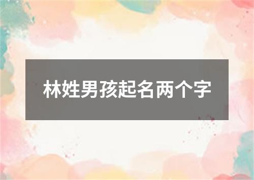 林姓男孩起名两个字
