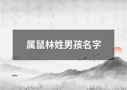 属鼠林姓男孩名字