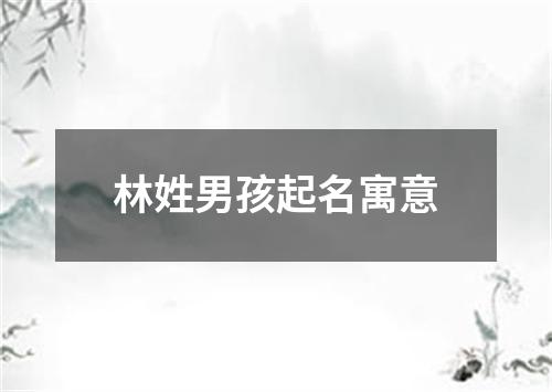 林姓男孩起名寓意