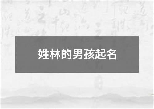 姓林的男孩起名