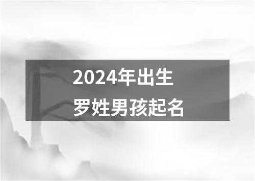 2024年出生罗姓男孩起名
