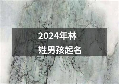 2024年林姓男孩起名