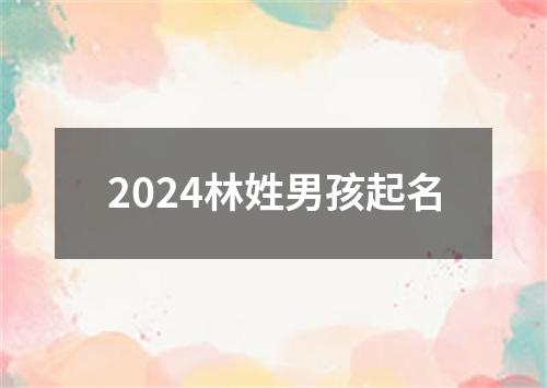 2024林姓男孩起名