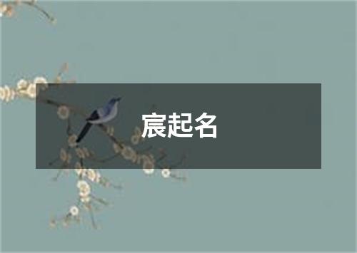 宸起名