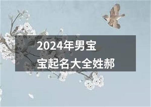 2024年男宝宝起名大全姓郝