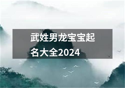 武姓男龙宝宝起名大全2024