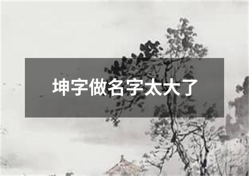坤字做名字太大了