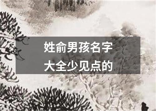 姓俞男孩名字大全少见点的