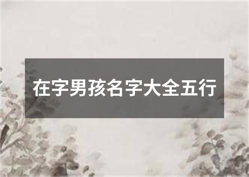 在字男孩名字大全五行