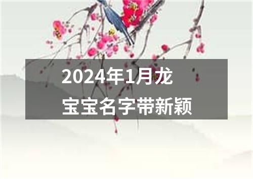 2024年1月龙宝宝名字带新颖