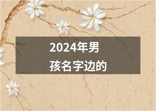 2024年男孩名字边的
