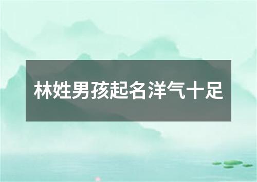 林姓男孩起名洋气十足