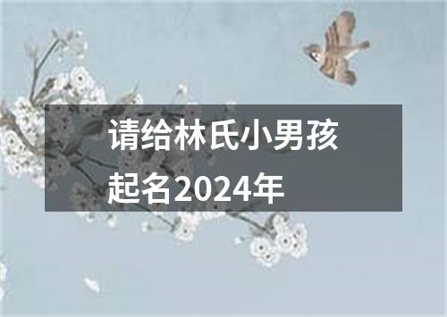 请给林氏小男孩起名2024年