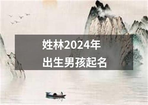姓林2024年出生男孩起名