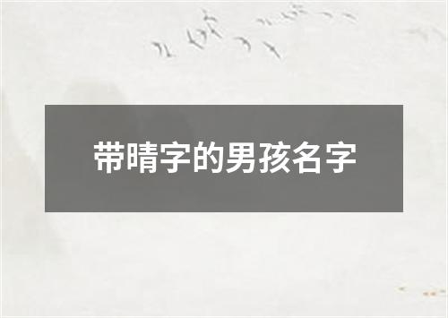 带晴字的男孩名字