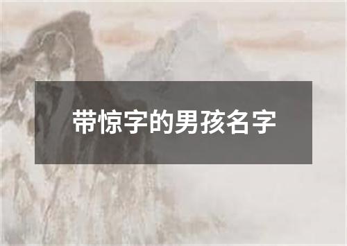 带惊字的男孩名字