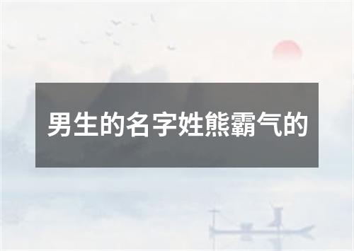 男生的名字姓熊霸气的