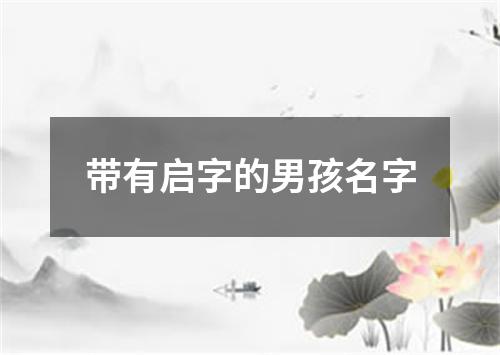 带有启字的男孩名字