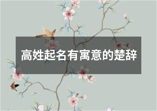 高姓起名有寓意的楚辞