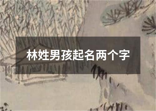 林姓男孩起名两个字