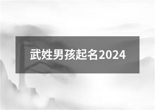 武姓男孩起名2024