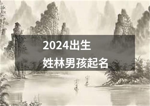 2024出生姓林男孩起名