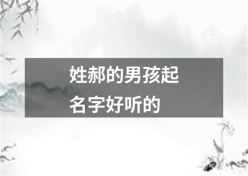 姓郝的男孩起名字好听的