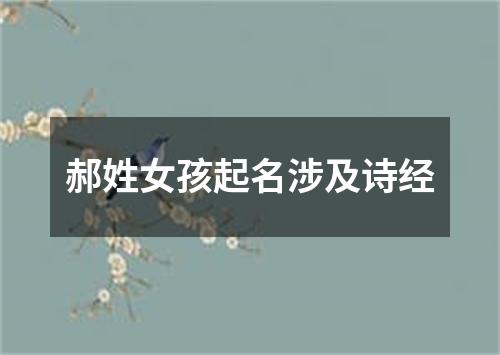 郝姓女孩起名涉及诗经