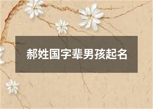 郝姓国字辈男孩起名