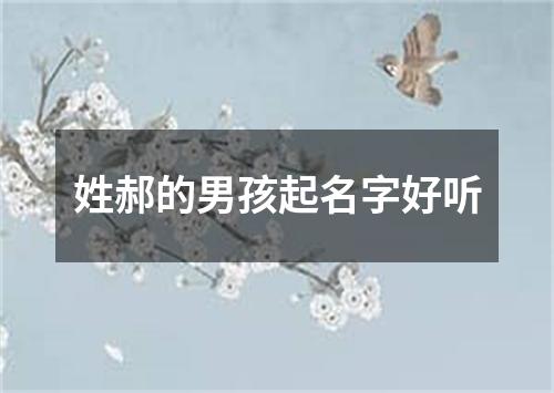 姓郝的男孩起名字好听