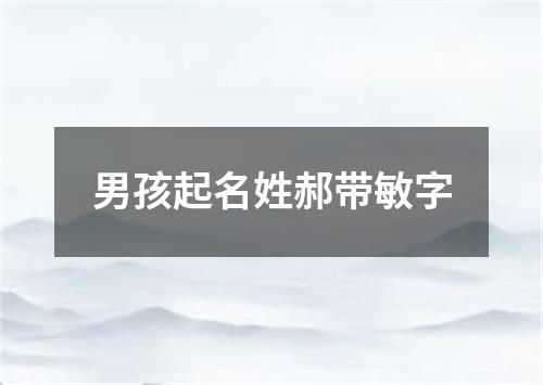 男孩起名姓郝带敏字