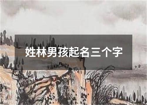 姓林男孩起名三个字