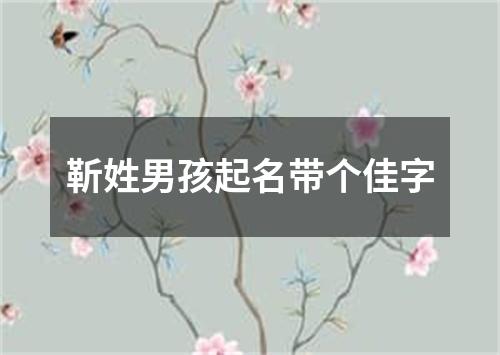 靳姓男孩起名带个佳字