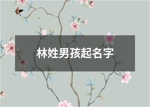 林姓男孩起名字