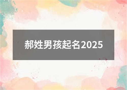 郝姓男孩起名2025
