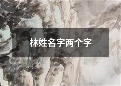 林姓名字两个字