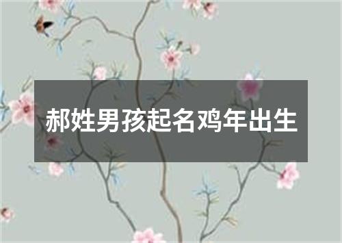 郝姓男孩起名鸡年出生