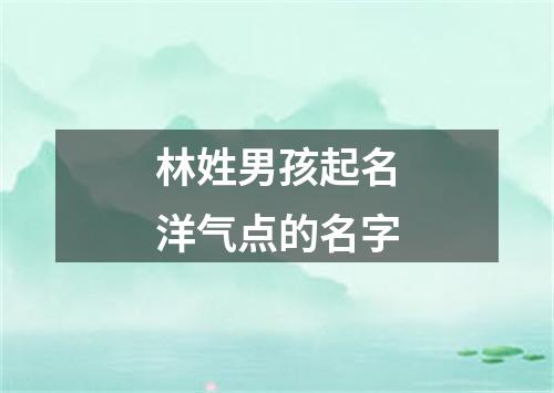 林姓男孩起名洋气点的名字