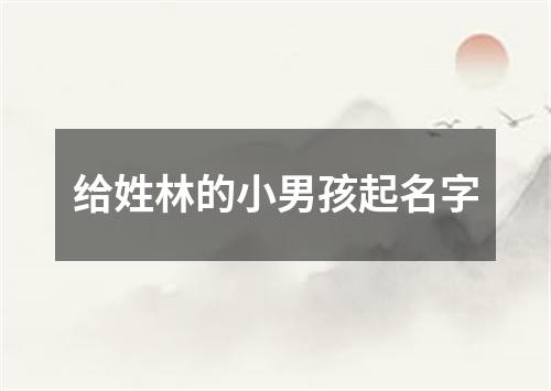 给姓林的小男孩起名字