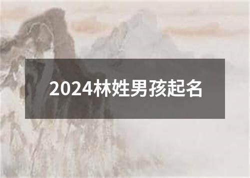 2024林姓男孩起名