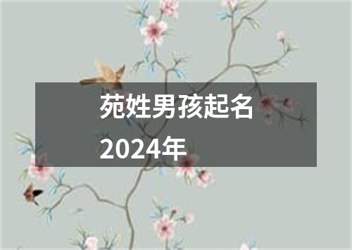 苑姓男孩起名2024年