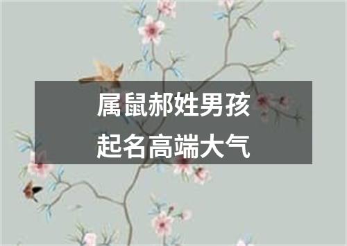 属鼠郝姓男孩起名高端大气