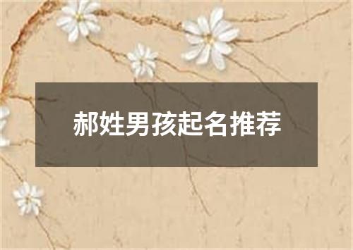 郝姓男孩起名推荐