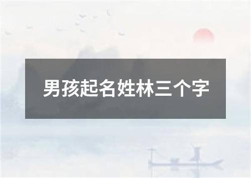 男孩起名姓林三个字