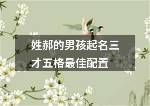 姓郝的男孩起名三才五格最佳配置