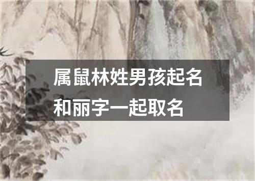 属鼠林姓男孩起名和丽字一起取名