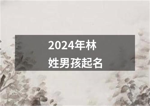 2024年林姓男孩起名