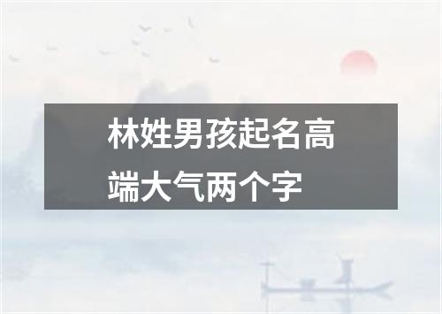 林姓男孩起名高端大气两个字