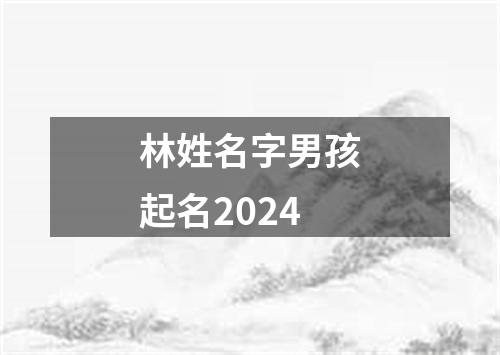 林姓名字男孩起名2024