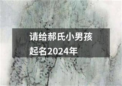 请给郝氏小男孩起名2024年